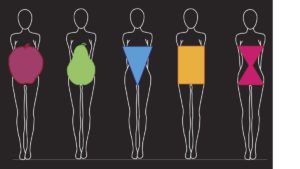 What Body Shape Do You Have? Stock Photo