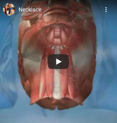 Digital representation for Necklace Neck Lift